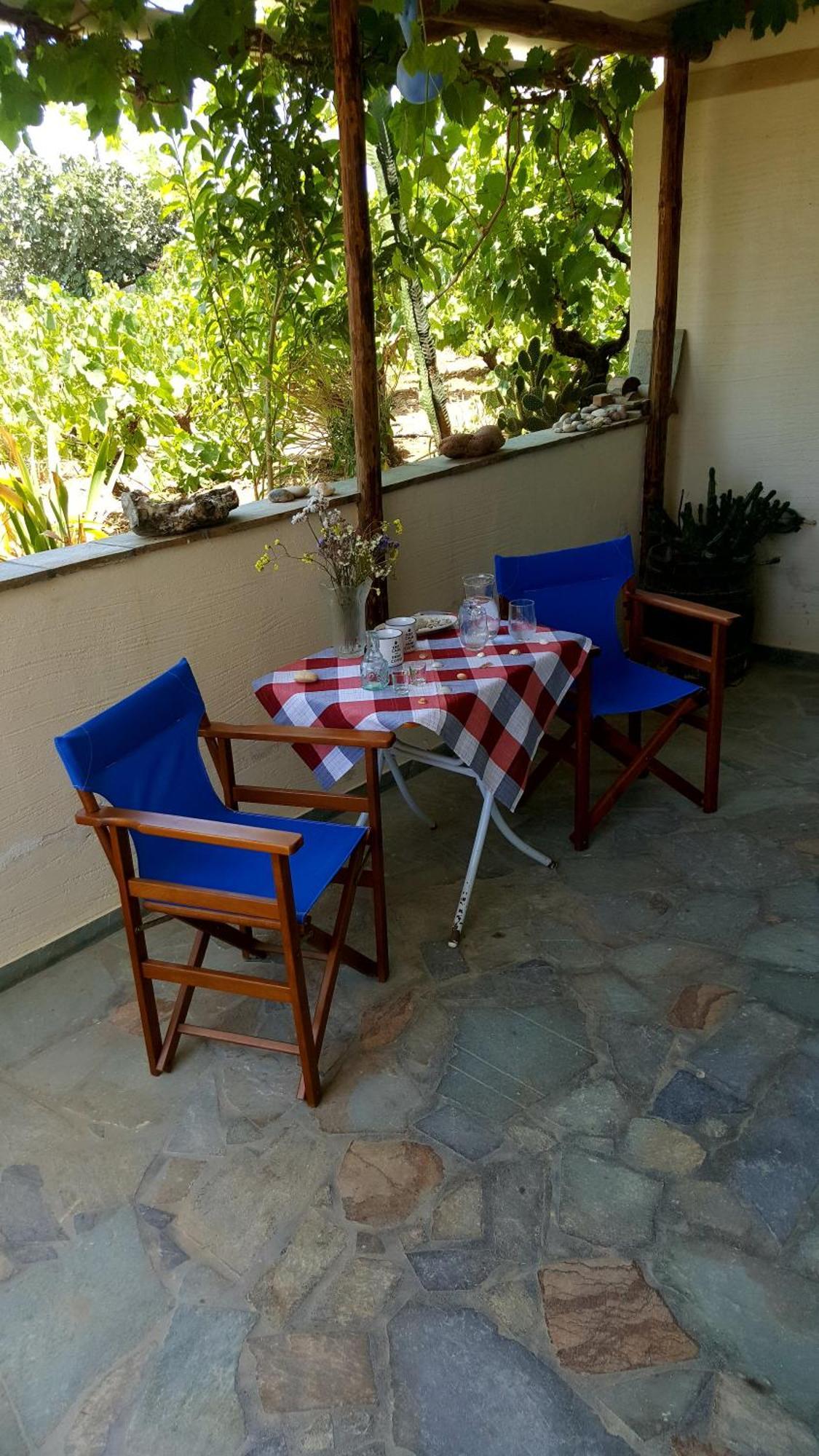מלון מיקרי ויגלה Matina'S Vineyard חדר תמונה